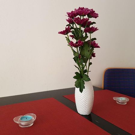 Apartament Diara Сибиу Экстерьер фото